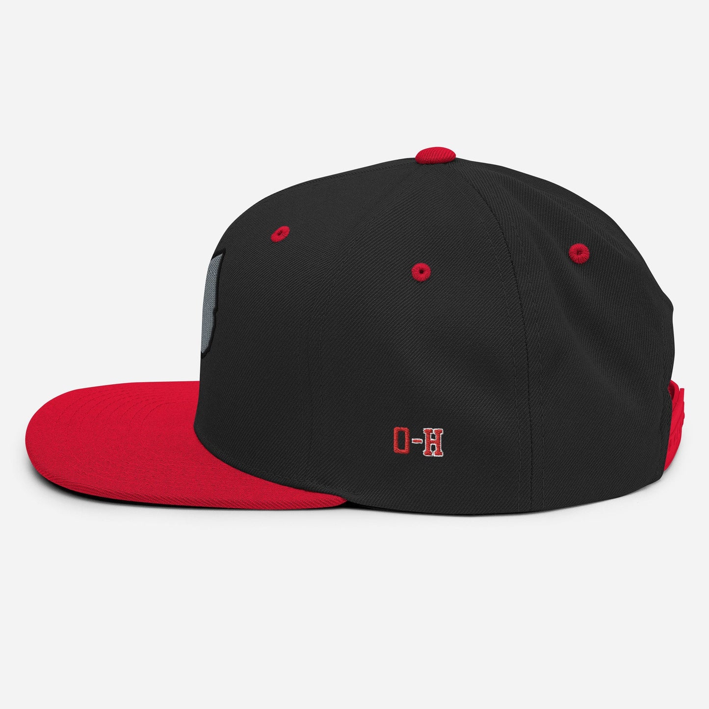 Ohio Snapback Hat