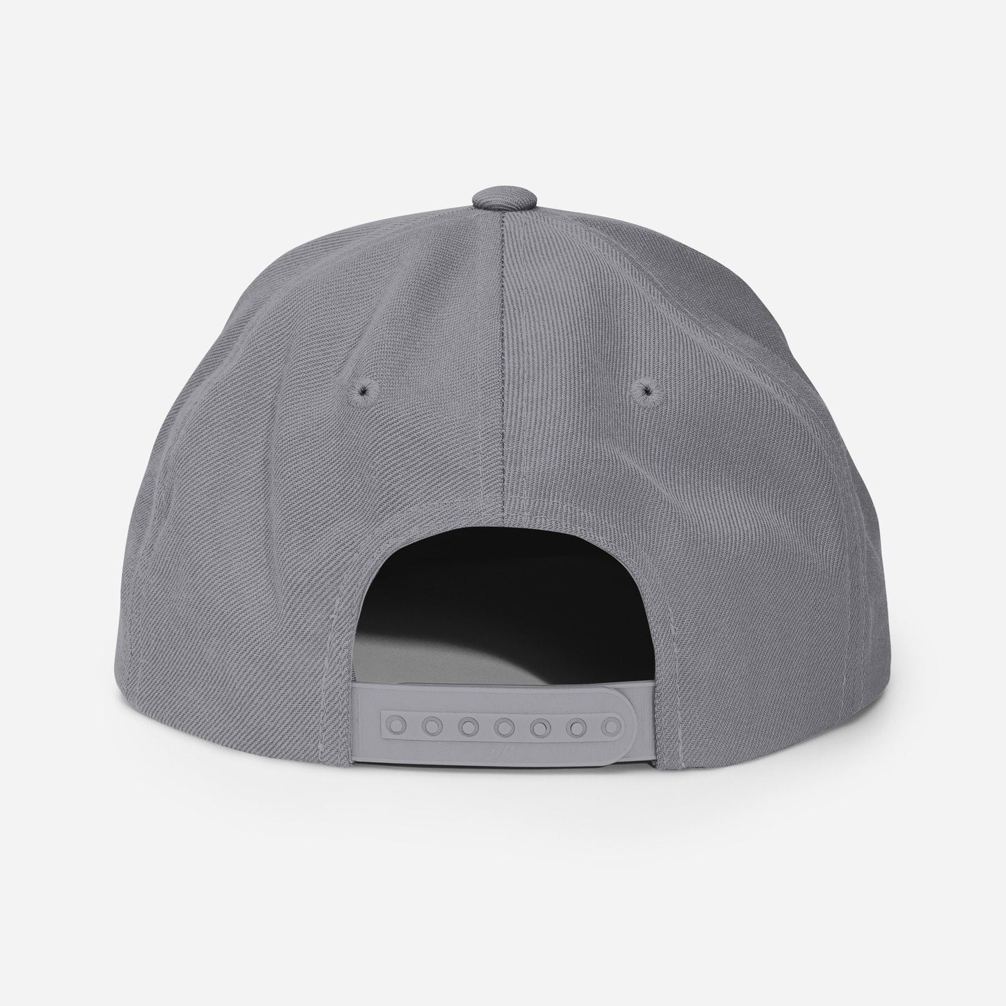 Ohio Snapback Hat