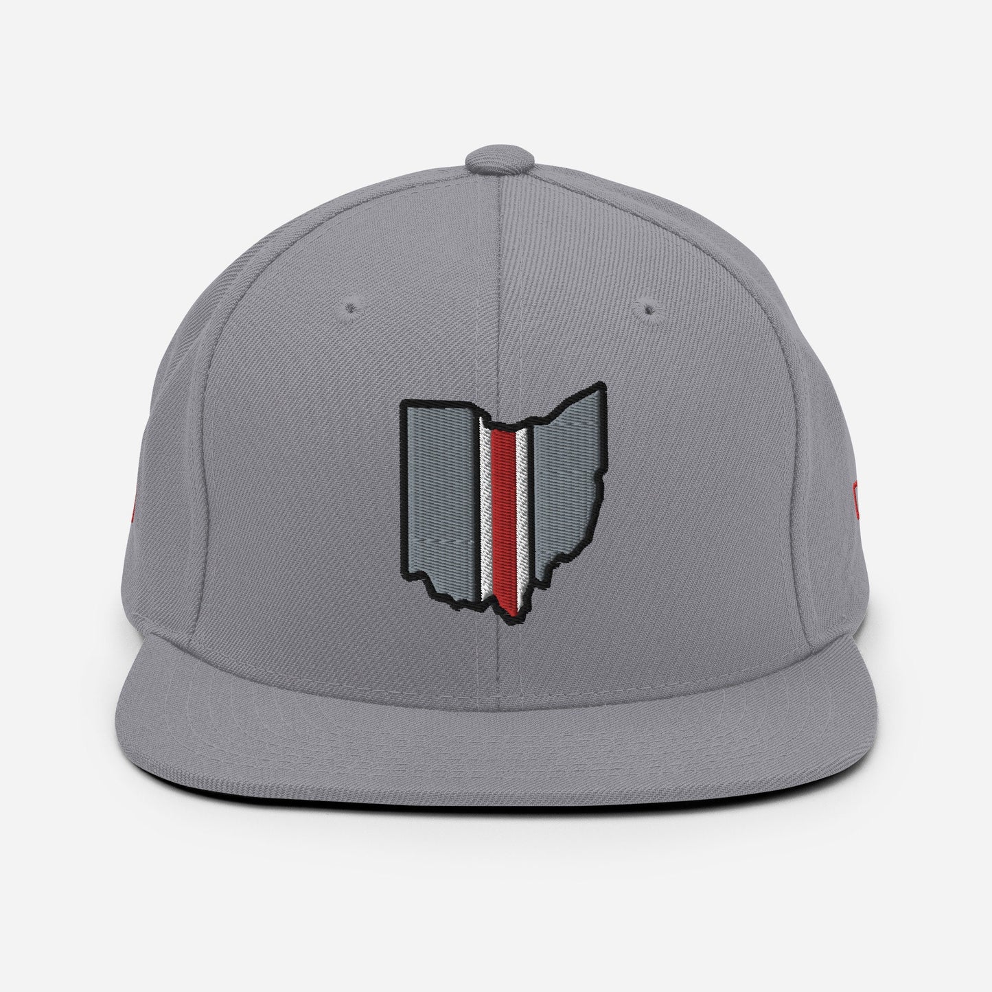 Ohio Snapback Hat