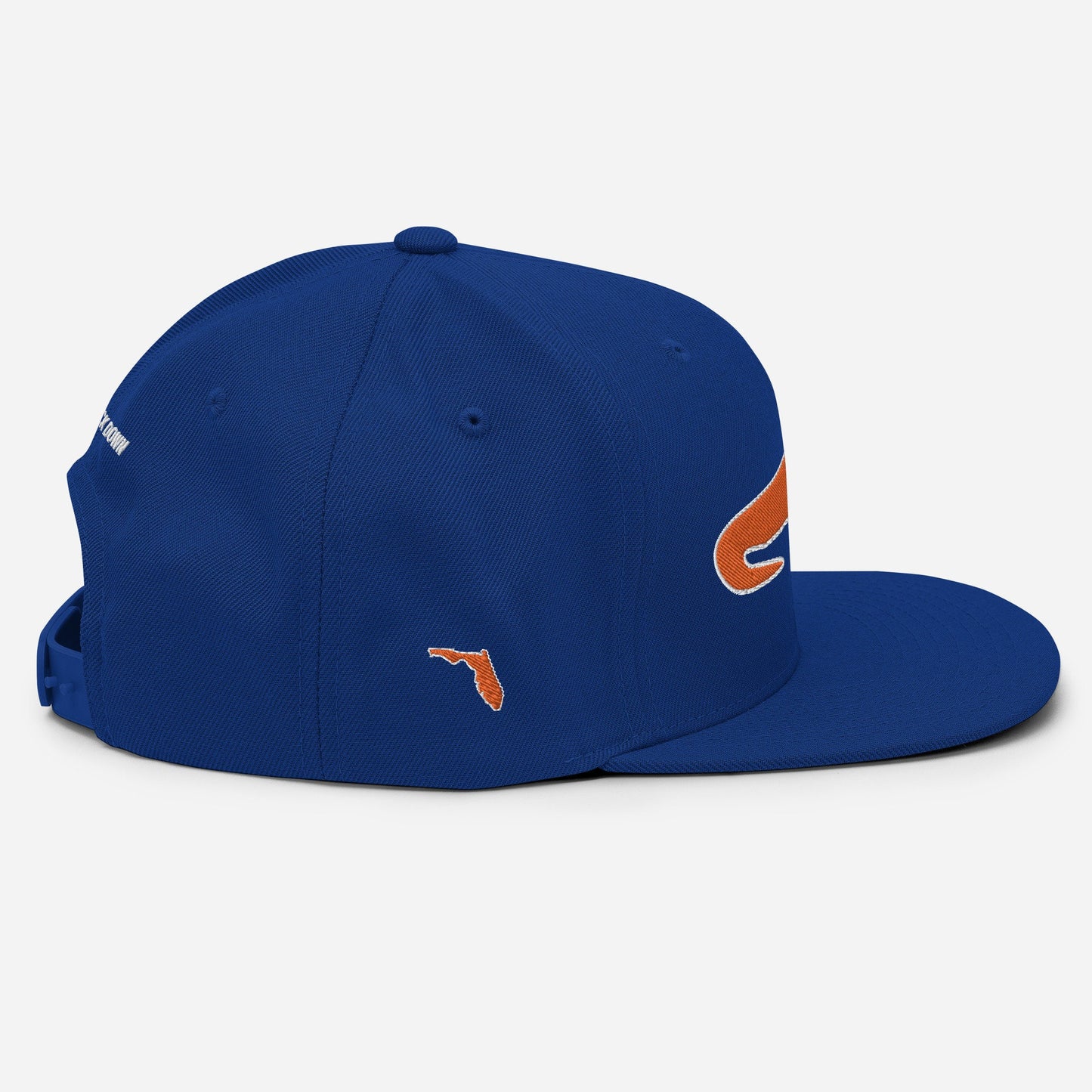 Florida Gator Snapback Hat